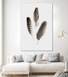Feathers I by PI Studio on GIANT ART - brown animals