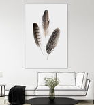 Feathers I by PI Studio on GIANT ART - brown animals
