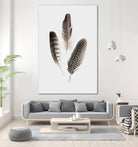 Feathers I by PI Studio on GIANT ART - brown animals