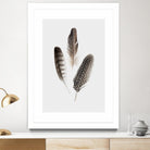 Feathers I by PI Studio on GIANT ART - brown animals