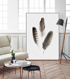 Feathers I by PI Studio on GIANT ART - brown animals