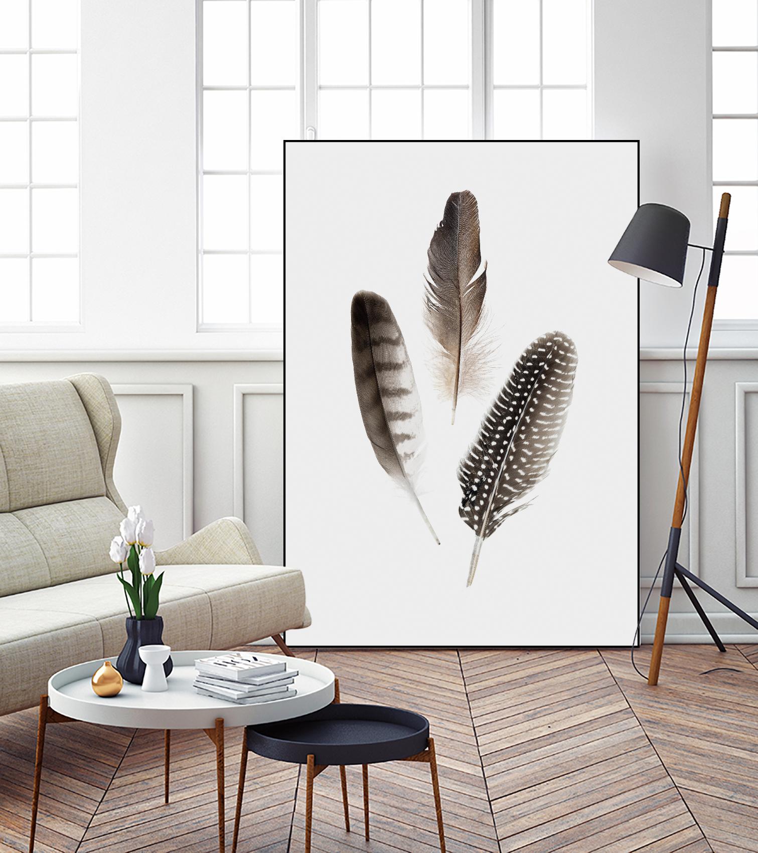 Feathers I by PI Studio on GIANT ART - brown animals
