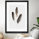 Feathers I by PI Studio on GIANT ART - brown animals