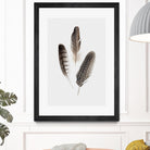 Feathers I by PI Studio on GIANT ART - brown animals