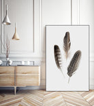 Feathers I by PI Studio on GIANT ART - brown animals