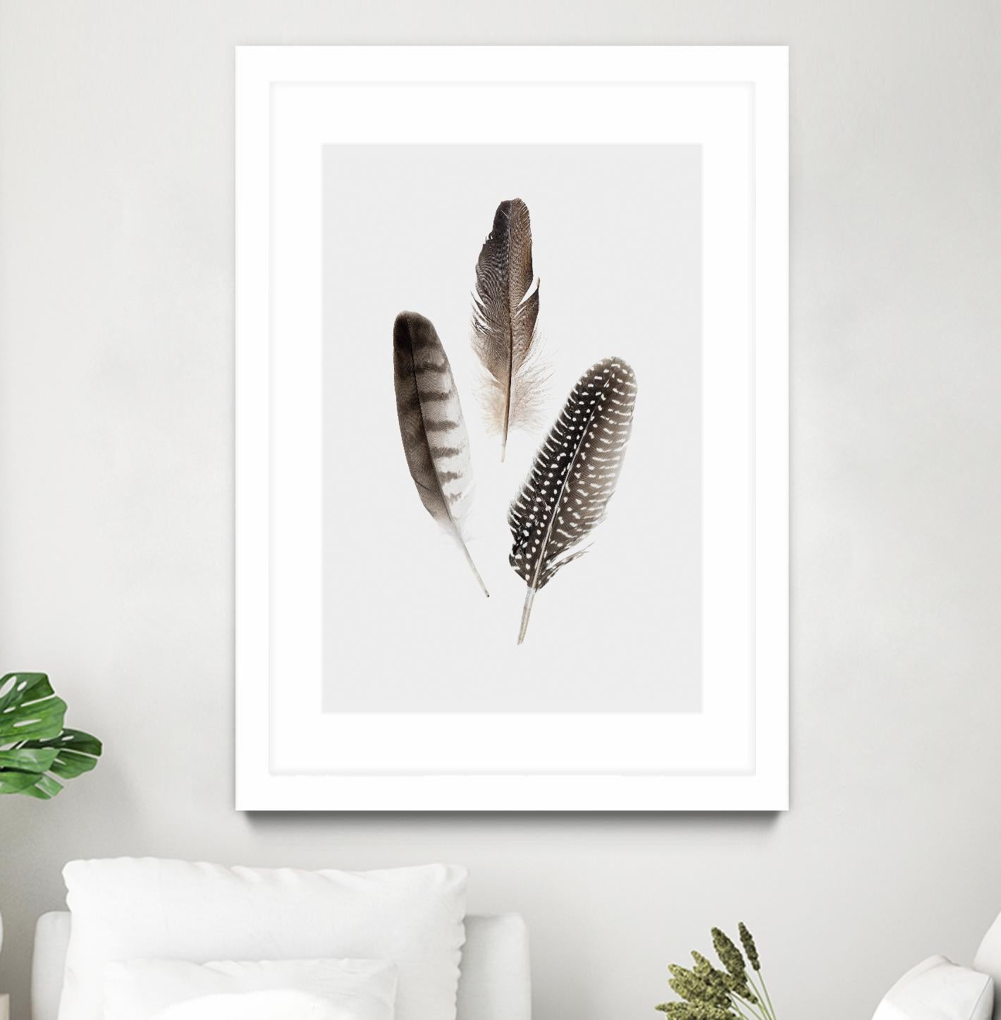 Feathers I by PI Studio on GIANT ART - brown animals