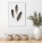 Feathers I by PI Studio on GIANT ART - brown animals