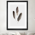 Feathers I by PI Studio on GIANT ART - brown animals