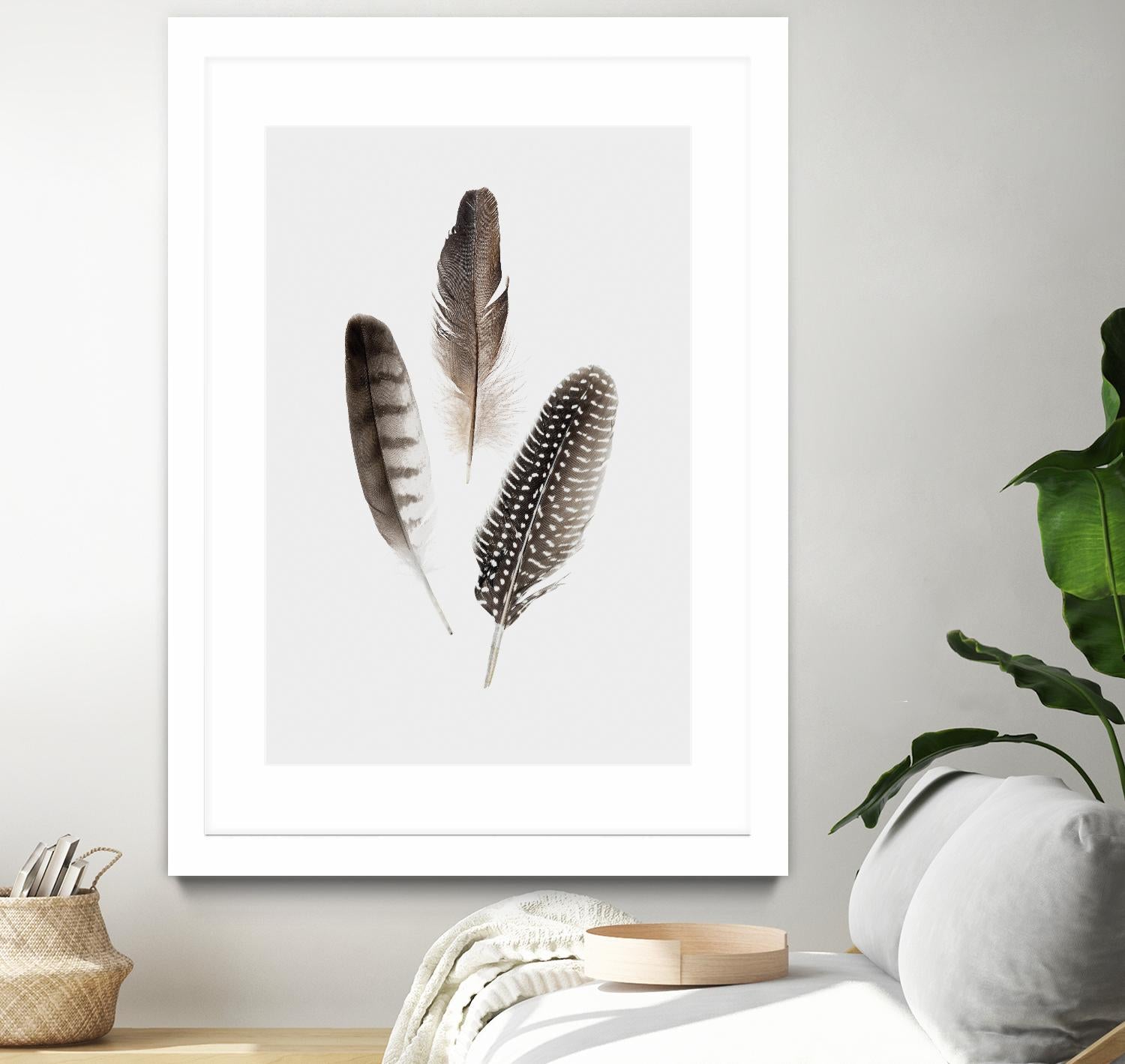 Feathers I by PI Studio on GIANT ART - brown animals
