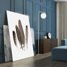 Feathers II by PI Studio on GIANT ART - brown animals