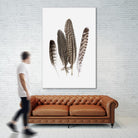 Feathers II by PI Studio on GIANT ART - brown animals