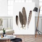 Feathers II by PI Studio on GIANT ART - brown animals
