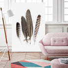 Feathers II by PI Studio on GIANT ART - brown animals