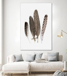 Feathers II by PI Studio on GIANT ART - brown animals