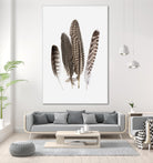 Feathers II by PI Studio on GIANT ART - brown animals
