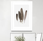 Feathers II by PI Studio on GIANT ART - brown animals