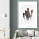 Feathers II by PI Studio on GIANT ART - brown animals