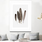 Feathers II by PI Studio on GIANT ART - brown animals