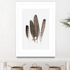 Feathers II by PI Studio on GIANT ART - brown animals