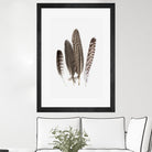 Feathers II by PI Studio on GIANT ART - brown animals