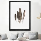 Feathers II by PI Studio on GIANT ART - brown animals