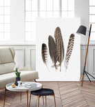 Feathers II by PI Studio on GIANT ART - brown animals
