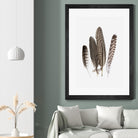 Feathers II by PI Studio on GIANT ART - brown animals