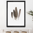 Feathers II by PI Studio on GIANT ART - brown animals