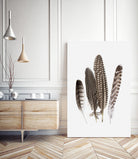 Feathers II by PI Studio on GIANT ART - brown animals