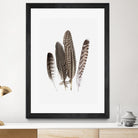 Feathers II by PI Studio on GIANT ART - brown animals