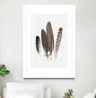 Feathers II by PI Studio on GIANT ART - brown animals