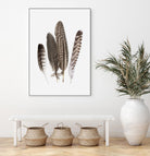 Feathers II by PI Studio on GIANT ART - brown animals