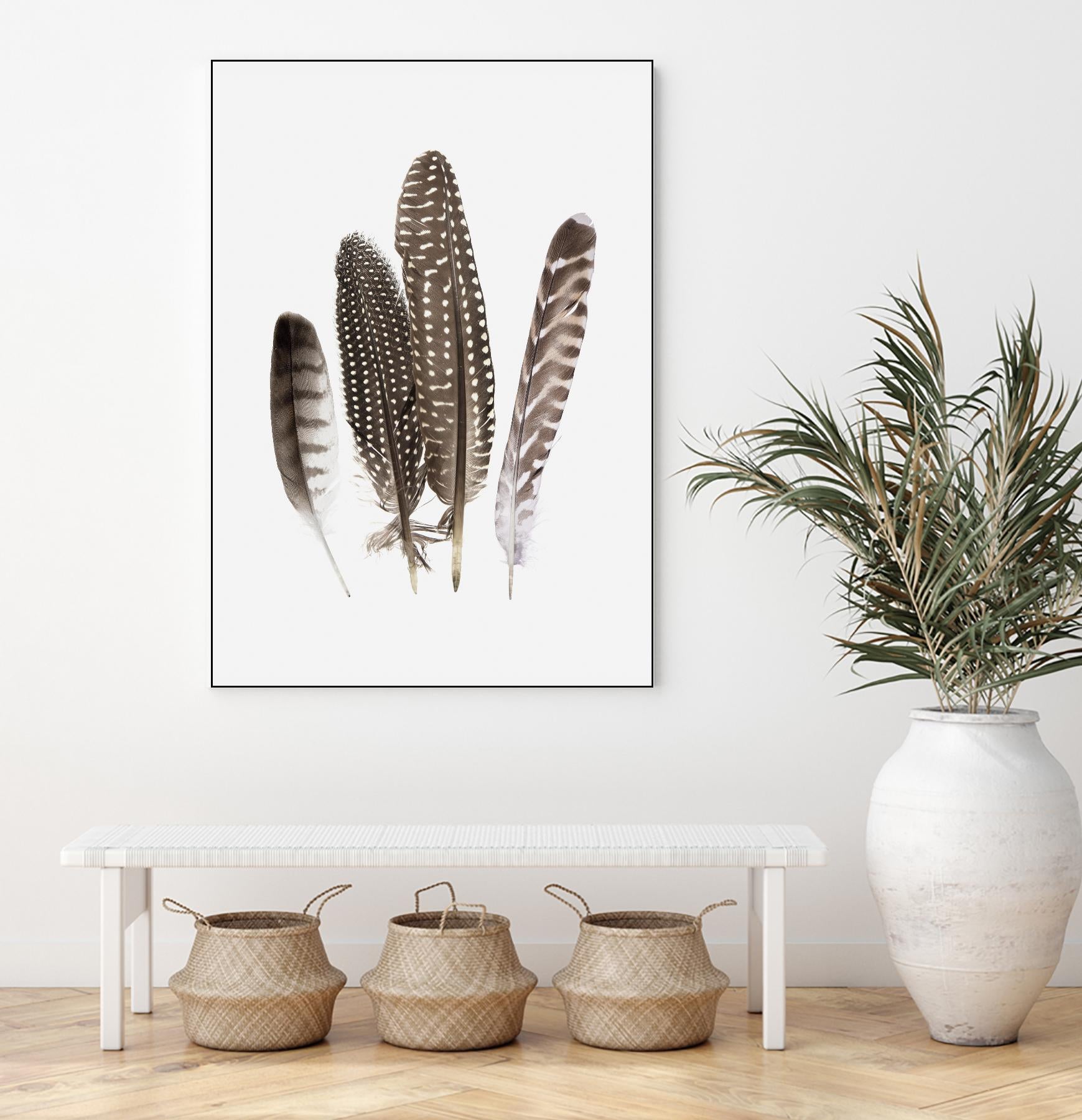 Feathers II by PI Studio on GIANT ART - brown animals