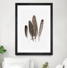 Feathers II by PI Studio on GIANT ART - brown animals
