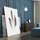 Feathers III by PI Studio on GIANT ART - brown animals