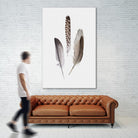 Feathers III by PI Studio on GIANT ART - brown animals