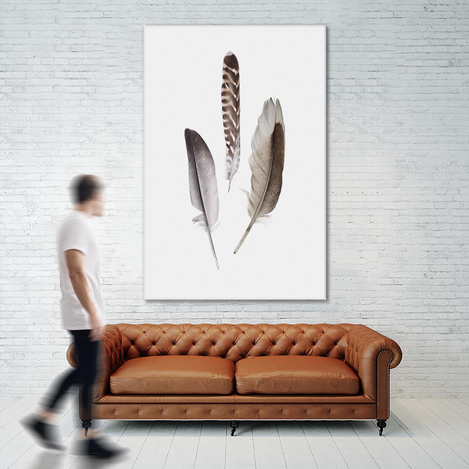 Feathers III by PI Studio on GIANT ART - brown animals