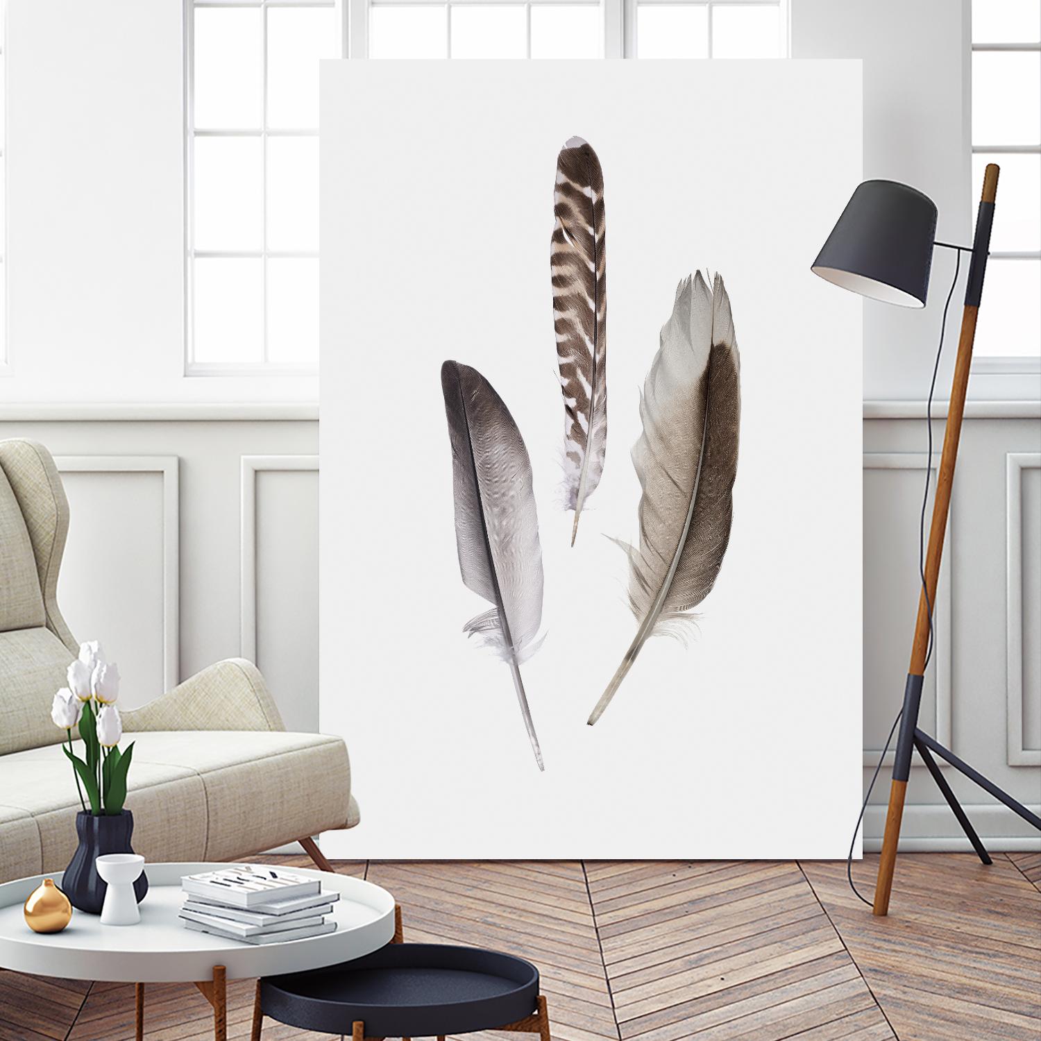 Feathers III by PI Studio on GIANT ART - brown animals