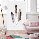 Feathers III by PI Studio on GIANT ART - brown animals