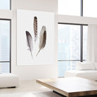 Feathers III by PI Studio on GIANT ART - brown animals