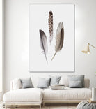 Feathers III by PI Studio on GIANT ART - brown animals