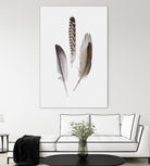 Feathers III by PI Studio on GIANT ART - brown animals