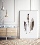 Feathers III by PI Studio on GIANT ART - brown animals