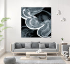 Swirl III by PI Studio on GIANT ART - white abstract