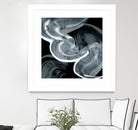 Swirl III by PI Studio on GIANT ART - white abstract