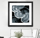 Swirl III by PI Studio on GIANT ART - white abstract