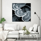 Swirl III by PI Studio on GIANT ART - white abstract
