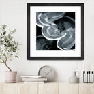 Swirl III by PI Studio on GIANT ART - white abstract