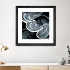 Swirl III by PI Studio on GIANT ART - white abstract