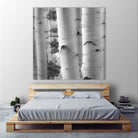 Birches in Grey I by Rick Cotter on GIANT ART - black trees